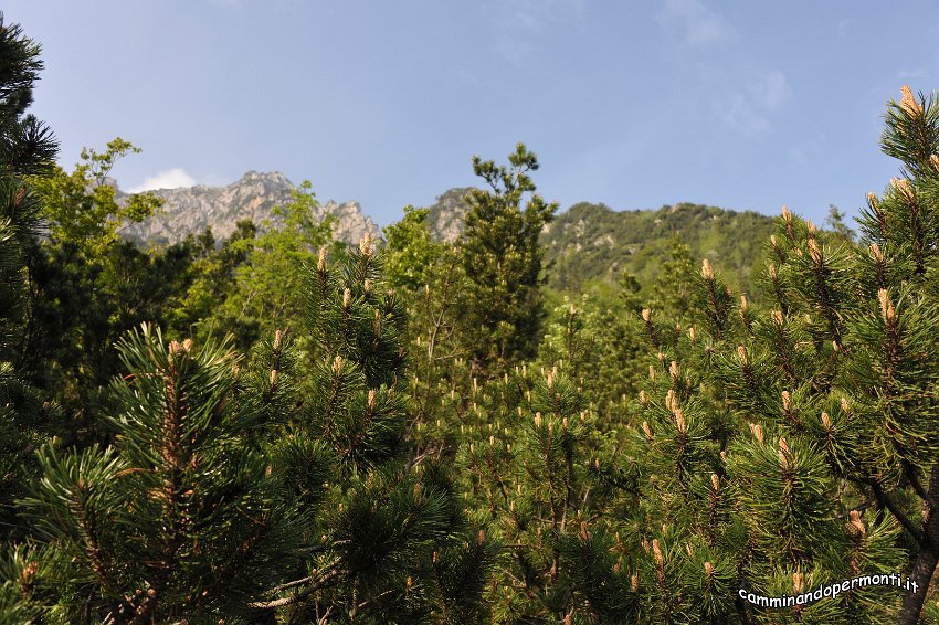 030 Sentiero dell Amicizia Monte Alben La Croce.JPG